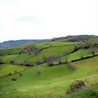 DSCN4081