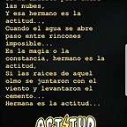 Mar?a IG Stories 23-1-2019 (7)