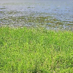 15-Imagen 017