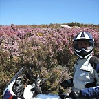 DSCF2544