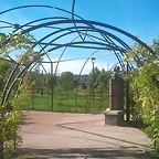 Paseo de las flores