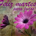 feliz martes