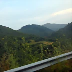 DSCN8794