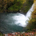 DSCN6144