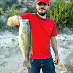 Bass
