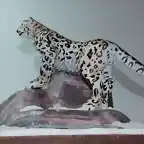Leopardo de las nieves (11)