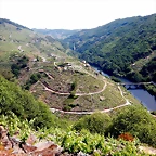DSCN3388