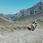 82
