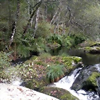 DSCN9047