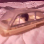 GPS_028