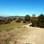 DSCN8890