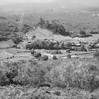 90-IMG_1470