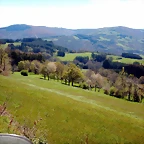 DSCN3993