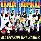 banda trpikal maestros del sabor