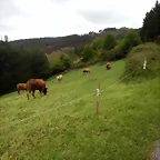 DSCN0569