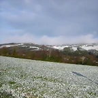 DSCN7468
