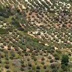 cortijo del pelicano