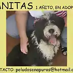 lanitas