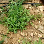 IMG_20180429_102751