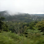 DSCN4813