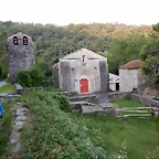 DSCN5269