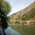 DSCN1987