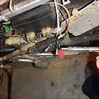 DSCN0584