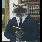 gatoabogado