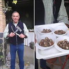 CARACOLES5