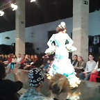 Pasarela 14-2-2015 (1)