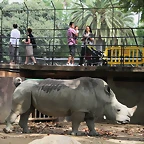 Zoo de Barcelona 26-09-2010 023