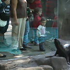 Zoo de Barcelona 26-09-2010 150