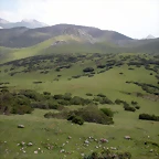 DSCN3667
