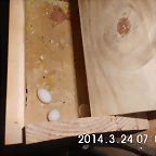 CIMG0306