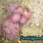 FB_IMG_1506256975426
