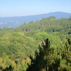 13-IMG_2353