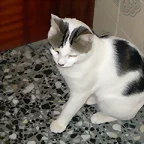 Mi lukas pensando :)