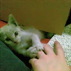 Mi coby el dia que lo salvamos de la calle