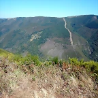DSCN6994