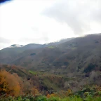 DSCN1990