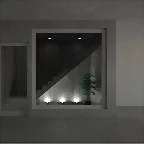 dm
