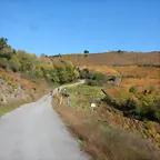 DSCN4683
