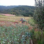 DSCN5352