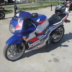 SDC10446