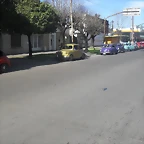 SDC10486