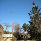 DSCN2944