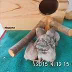 CIMG0974
