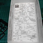 DSCN5151