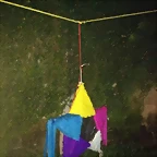 15857620_734771603364625_1942758784_o