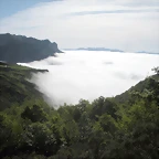 DSCN8074